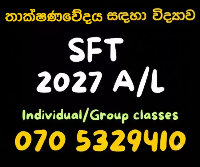 SFT 2028 AL | තාක්ෂණවේදය සඳහා විද්‍යාව | Group And Individual