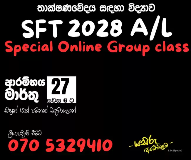 SFT 2028 AL Online Group Class