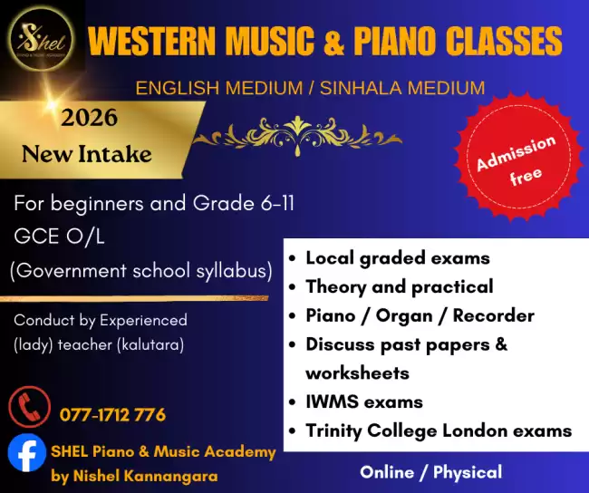 Western music classes online/physical