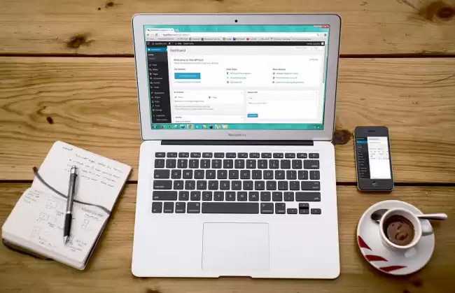 WordPress web development