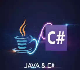 Your Step-by-Step Guide to Becoming a Software Developer පියවරෙන් පියවර මාර්ගෝපදේශය