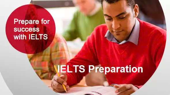 Online, individual IELTS classes conducted by overseas experienced lady teacher