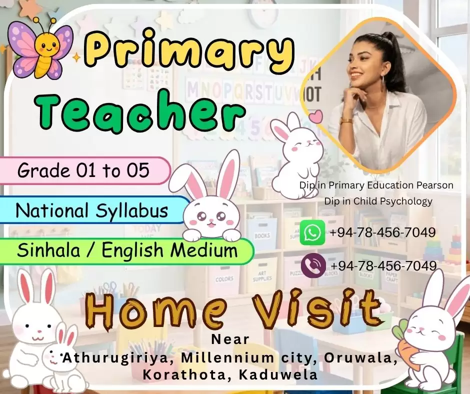 Primary Teacher