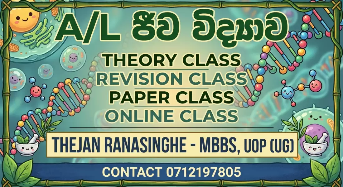 Theory class , Revision class , Paper class