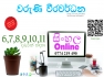 Sinhala Classes (Online/ Home visits)