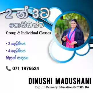 2,3,4 primary classes