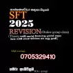 2024 SFT ONLINE REVISION