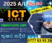 2025 A/L ICT Theory Revision