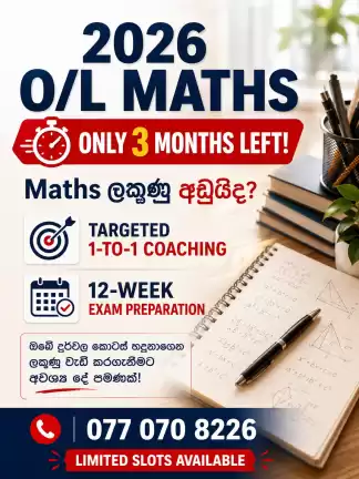 2026 O/L maths One on one exam coaching