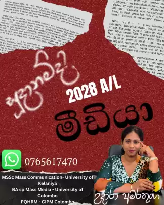 මීඩියා 2028