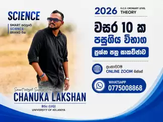 මාස 3 A එකකට යන්න පේපර් ලියමු