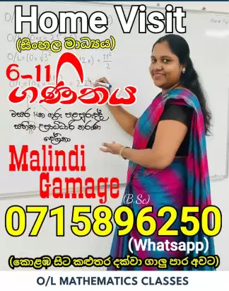 6-11 Mathematics home visit class