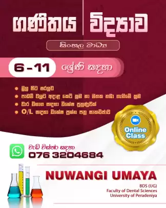 6 - 11 maths science online classes