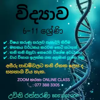 6-11 Science