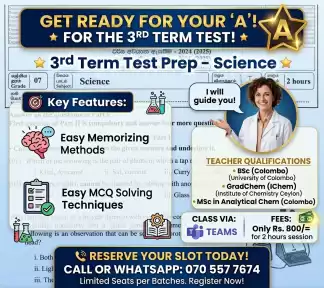 6,7,8,9 3rd Term Test Preparations