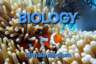 A/L Biology- Sinhala Medium (Theory and Paper Classes)