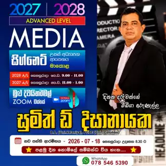 A/L Meadia තනි හා කණ්ඩායම් පන්ති
