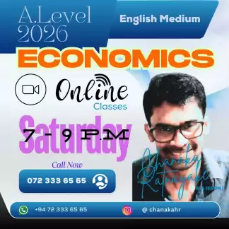A Level Econ - English medium