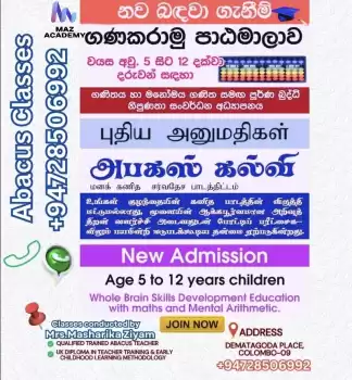 Abacus physical classes