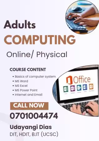 Adults computing