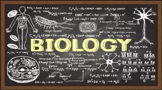 Advanced Level Biology - English Medium Theory & Paper Class