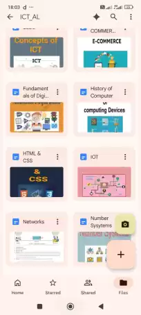 Advanced Level ICT