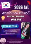 Advanced Level Korean Language