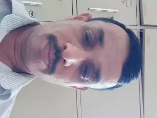 AL economics