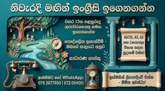Anyone can learn English