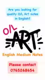 Are you looking for quality O/L Art notes in English?!