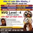 Beautician, Hair Dresser and Bridal Dresser NVQ level 4 courses