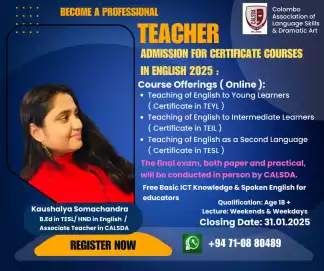 Become a professional Teacher-English