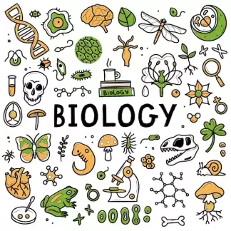 BIOLOGY - THEORY/ REVISION/ PAPER CLASS