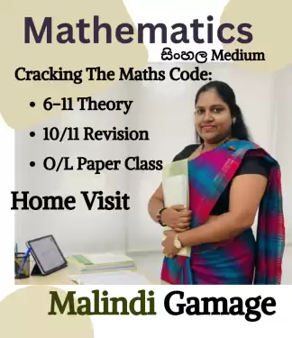 Blueprint to an 'A' in Maths: Grade 6-9 Theory + 10/11 Revision + O/L Paper Class (Sinhala Medium)