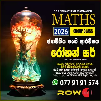 Brand of maths rowan
