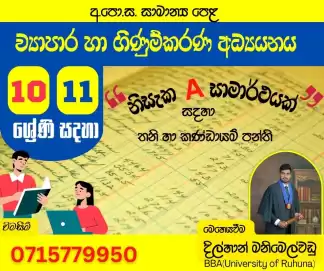 Business & Accounting Studies