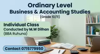 Business & Accounting Studies