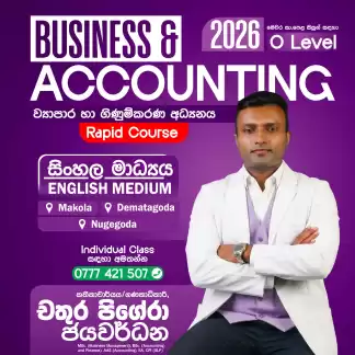 Business and Accounting Studies