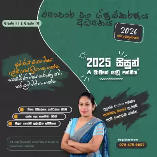 Business and Accounting Studies