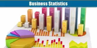 Business Statistics - English Medium