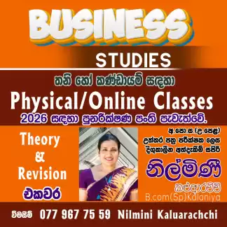 Business studies AL