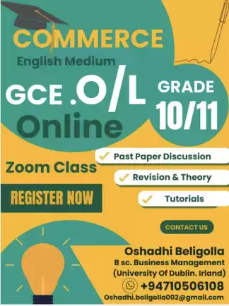 Business Studies and Accounting-English medium- OL