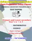 Cambridge and Edexel checkpoint paper classes