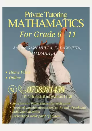 Cambridge/Edexcel O/L Mathamatics Grade 6-11