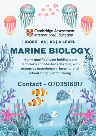 Cambridge IGCSE | O Level | AS | A2 | A Level