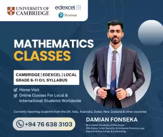 Cambrige Edexcel Maths home visit classes