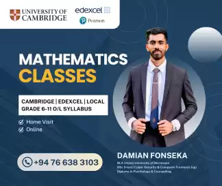 Cambrige Edexcel Maths home visit classes