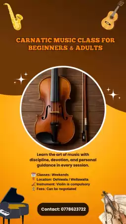 Carnatic violin class for Beginners & adults