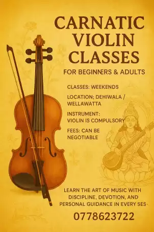 Carnatic violin classes