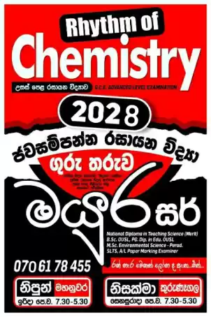 Chemistry group and individual classes